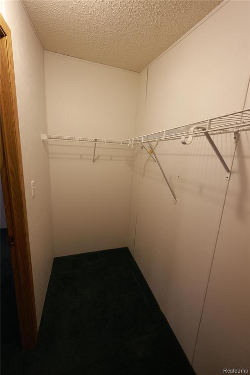 7208 Mapleview Circle E, Brown, MI 48416 — Photo 28
