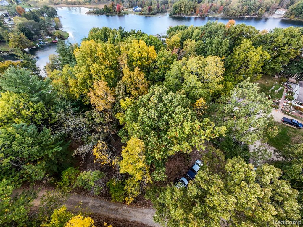 4720 Brunk Drive, Otter Lake, MI 48464 — Photo 14