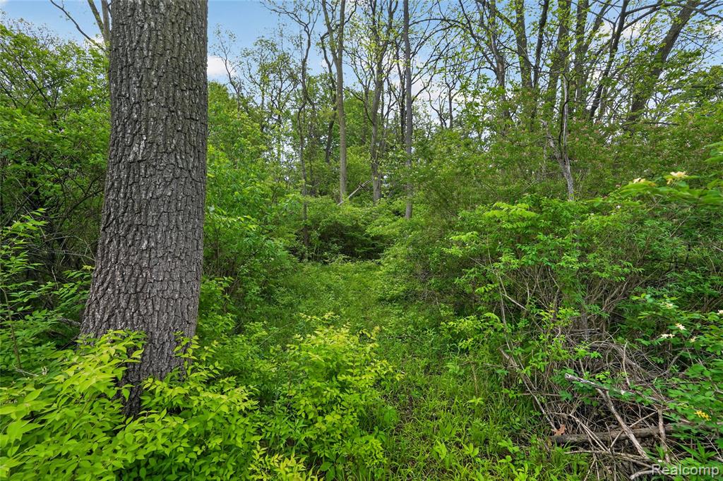 6235 Flushing Road, Flushing, MI 48433 — Photo 48