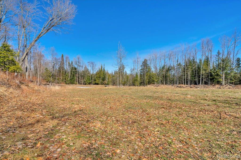 5300 E Alcona Road, Harrisville, MI 48740 — Photo 46