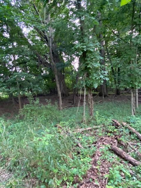 7762 Mason Road, Yale, MI 48097 — Photo 23