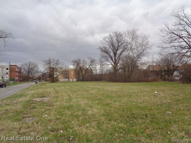 1749 COLLINGWOOD Street, Detroit, MI 48206 — Photo 10