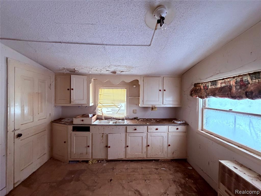 6456 3rd Street, Cass City, MI 48726 — Photo 9