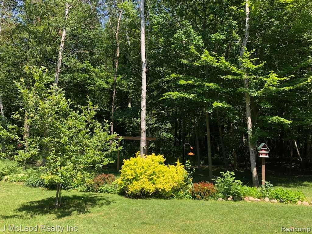 6939 TWIN CREEK Drive, Millington, MI 48746 — Photo 87