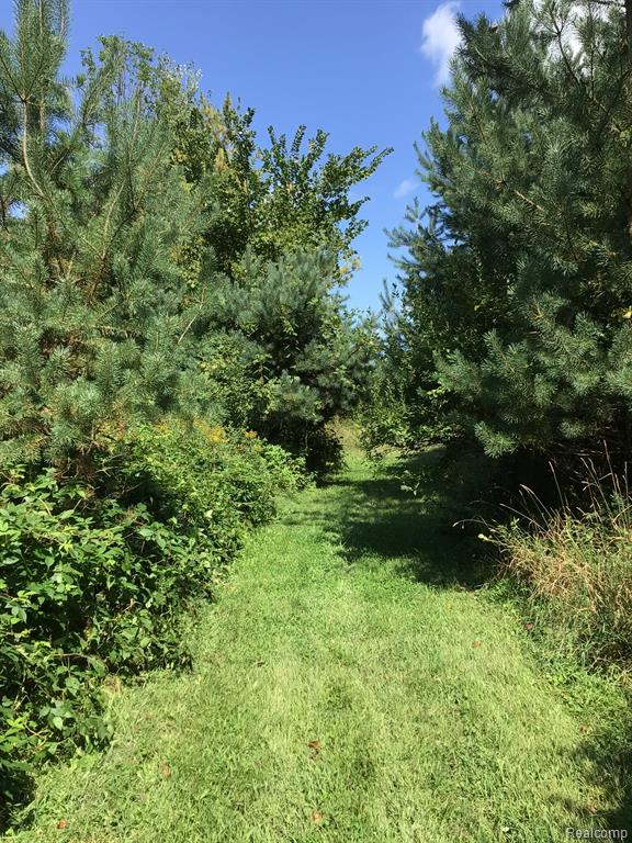 1581 S Force Road, Attica, MI 48412 — Photo 83