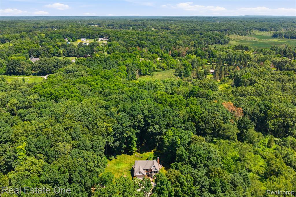 8450 Merrill Road, Whitmore Lake, MI 48189 — Photo 3