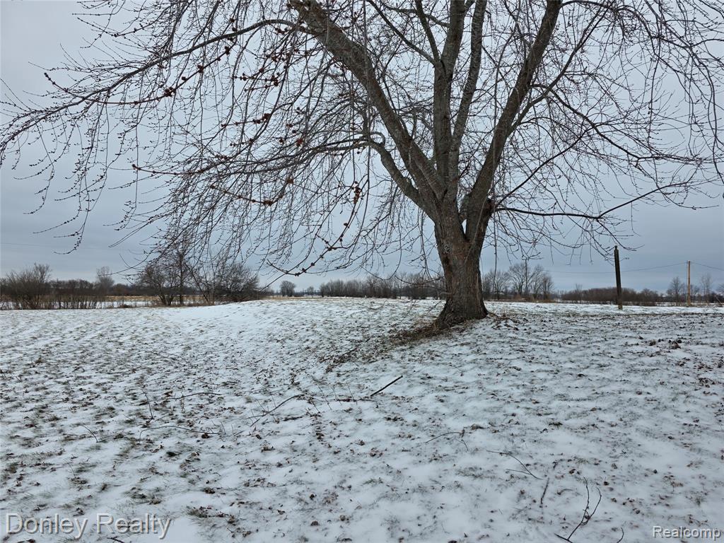 3270 Galbraith Line Road, Brown, MI 48416 — Photo 29