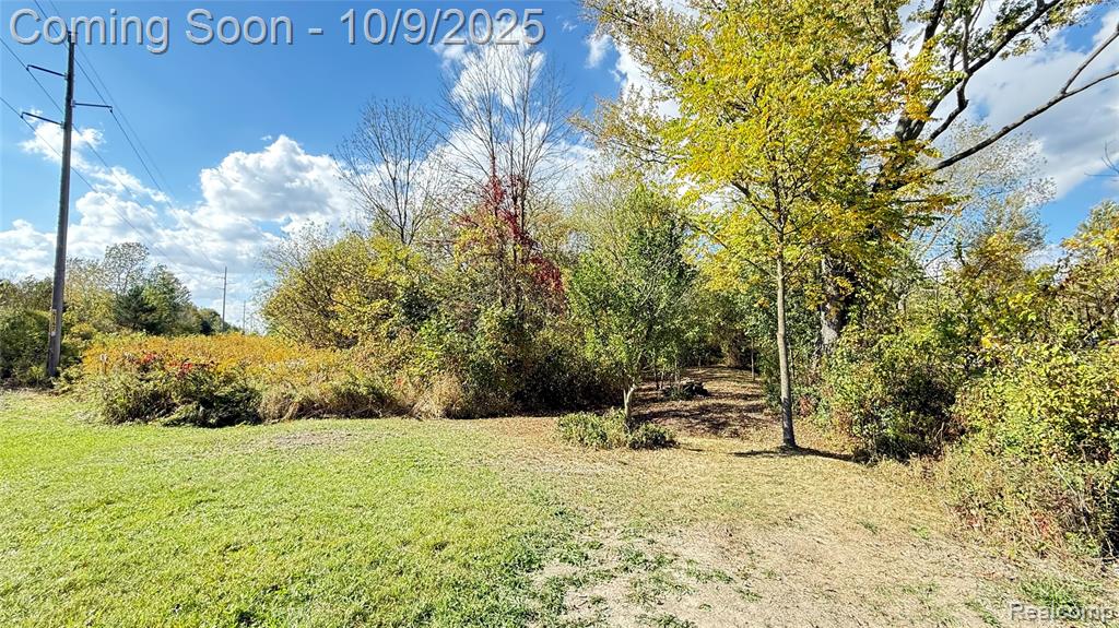 1139 Michigan Road, Port Huron, MI 48060 — Photo 29