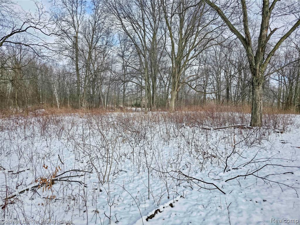 VL Columbiaville Road, Columbiaville, MI 48421 — Photo 19