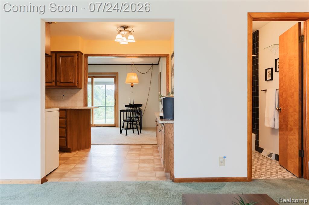 895 Haslett Road E, Williamston, MI 48895 — Photo 8