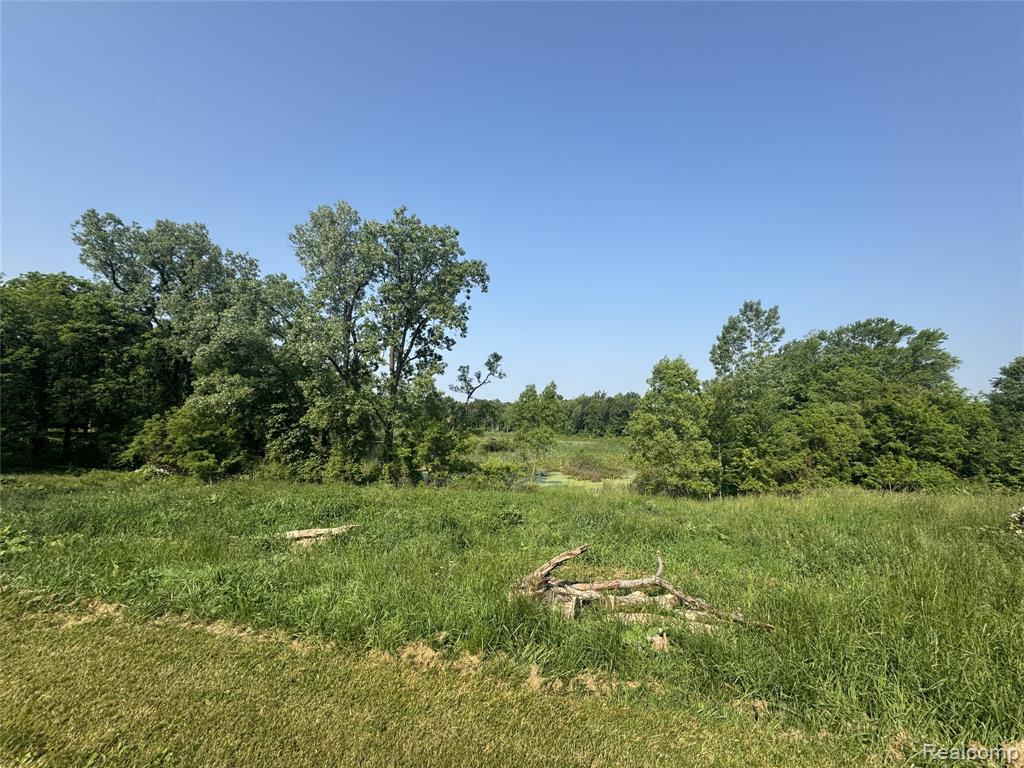 6351 Zimmer Road, Haslett, MI 48840 — Photo 28