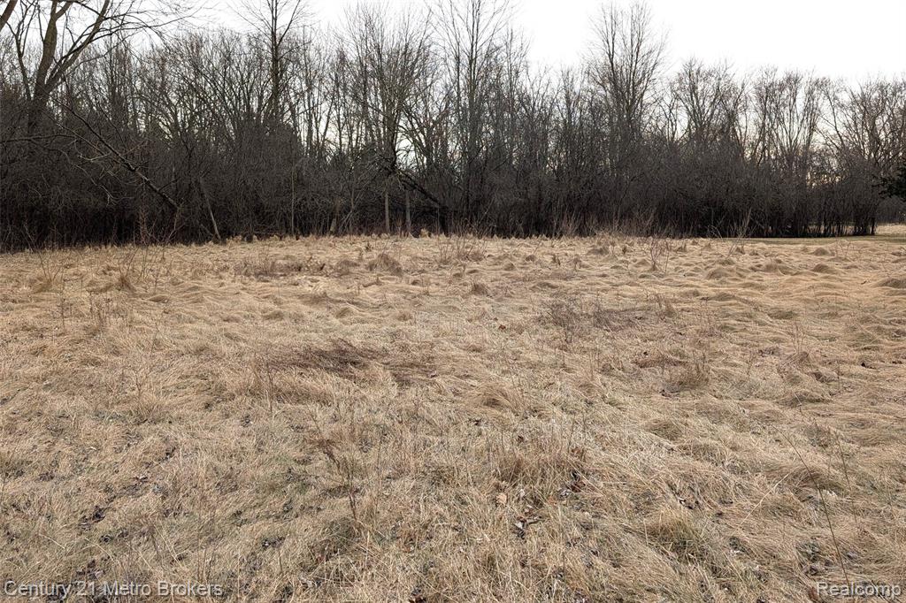 2840 Tatham Road, Saginaw, MI 48601 — Photo 8