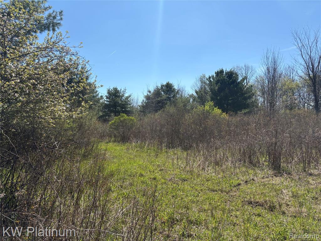 Parcel B Wicha Drive, Burtchville, MI 48059 — Photo 10