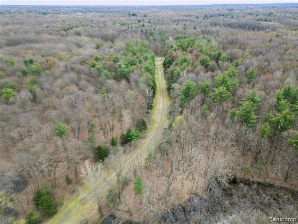 4.23 Acres VL - KNIGHTS BRIDGE Road, Leonard, MI 48367 — Photo 12