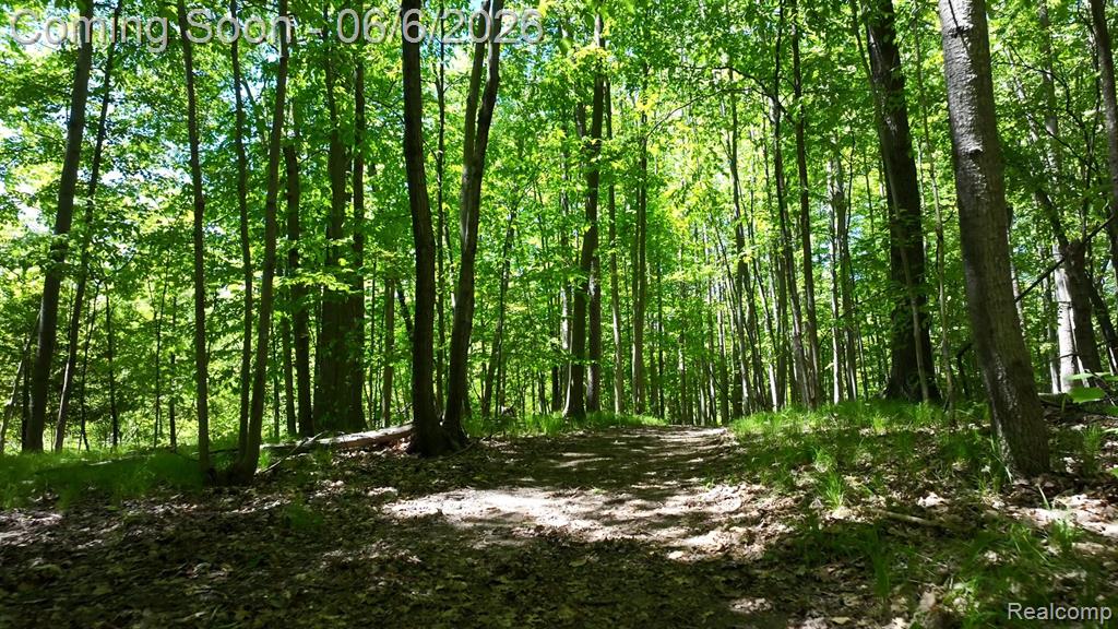 3957 Mill Lake Road, Lake Orion, MI — Photo 13
