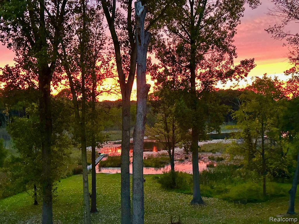 9955 Wiggins Road, Howell, MI 48855 — Photo 18