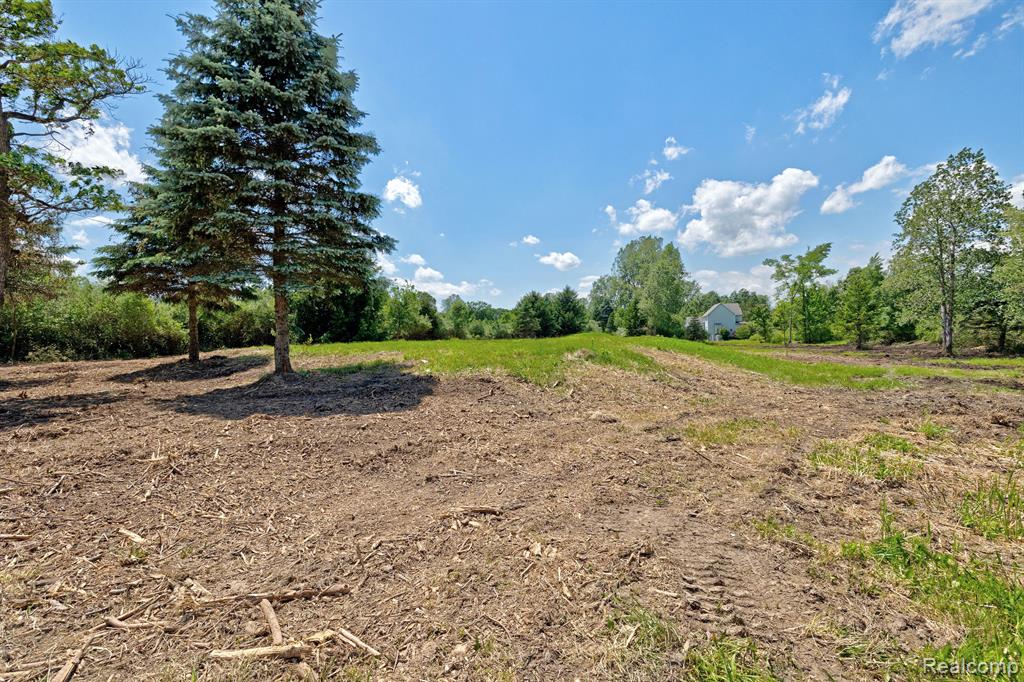 Vacant Land Brandt Road, Ortonville, MI 48462 — Photo 21