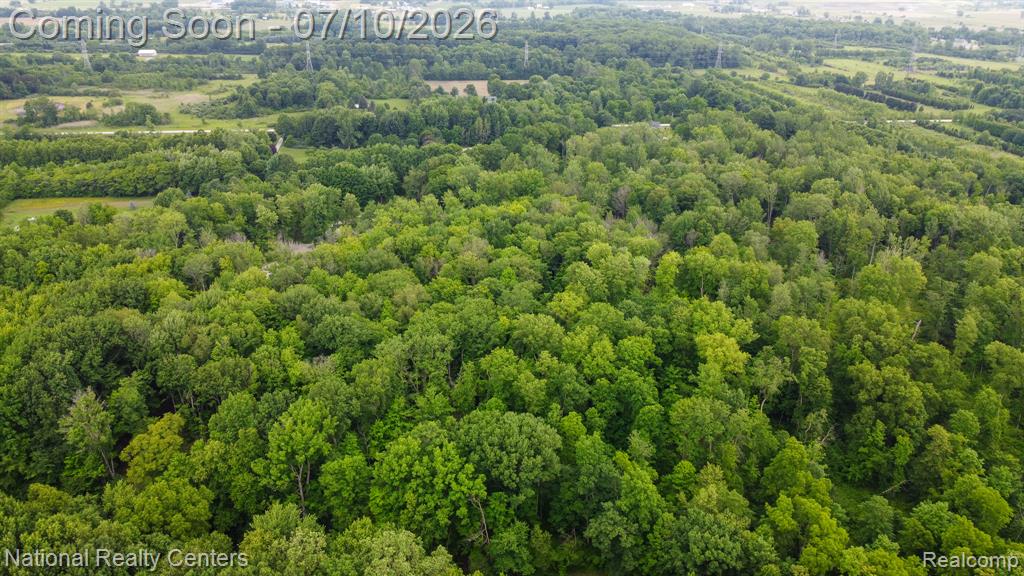 5315 Remer Road, China, MI — Photo 42