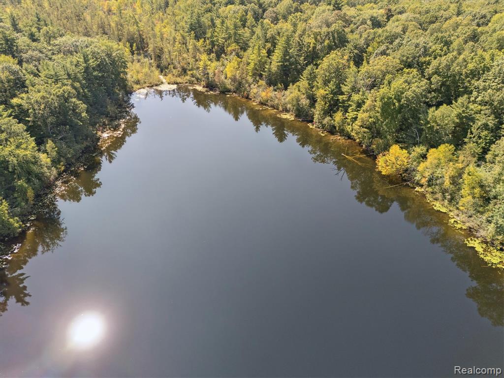 267 W Barnes Lake Road, Columbiaville, MI 48421 — Photo 45