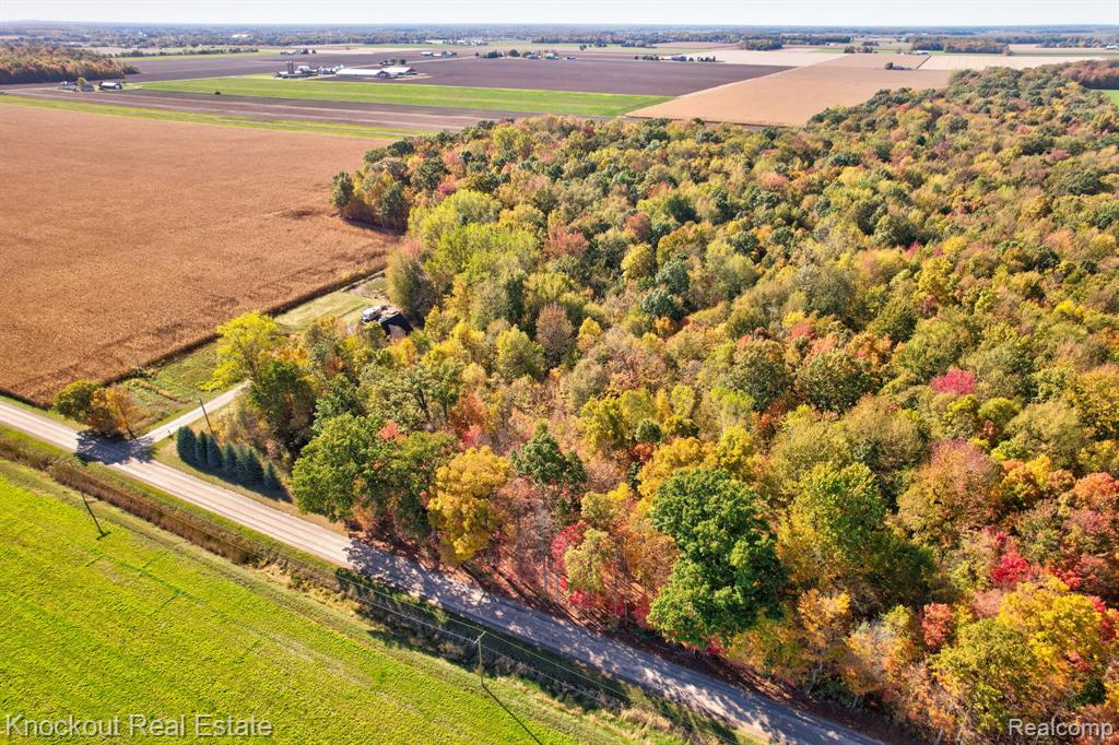 4000 S Reese Road, Frankenmuth, MI 48734 — Photo 4