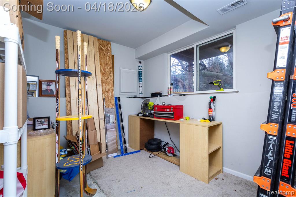 11583 Broadview Street, Hartland, MI 48353 — Photo 24