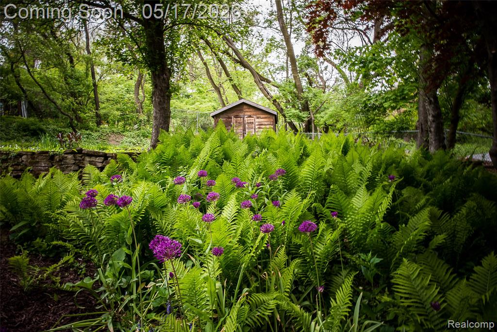 1321 Orkney Drive, Ann Arbor, MI 48103 — Photo 66