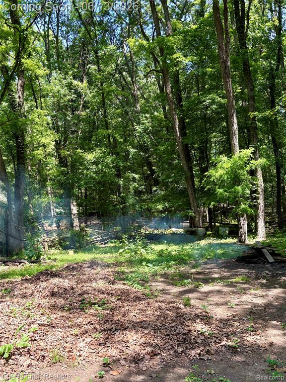 5844 Crandall Road, Howell, MI 48855 — Photo 36