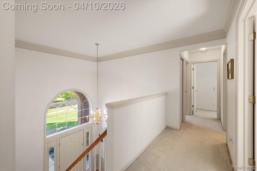 47651 Red Run Drive, Canton, MI 48187 — Photo 29