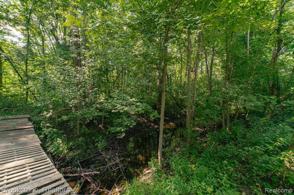 VL Sashabaw Road, Ortonville, MI 48462 — Photo 10