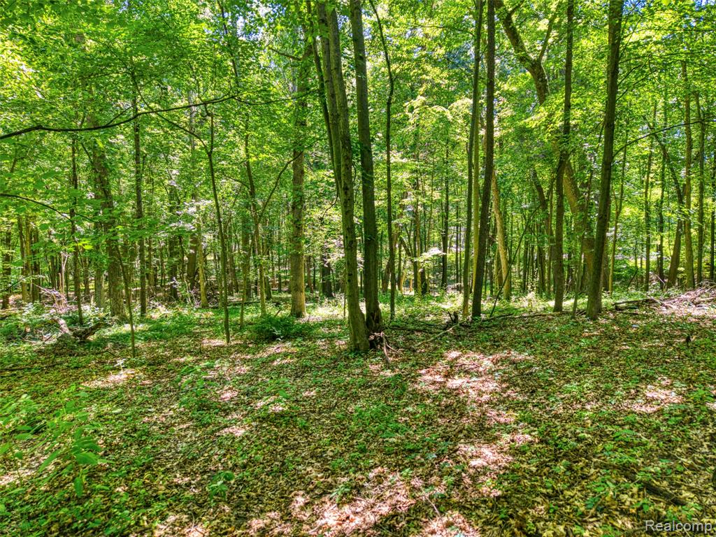 5663 Iosco Mountain Road, Gregory, MI 48137 — Photo 5
