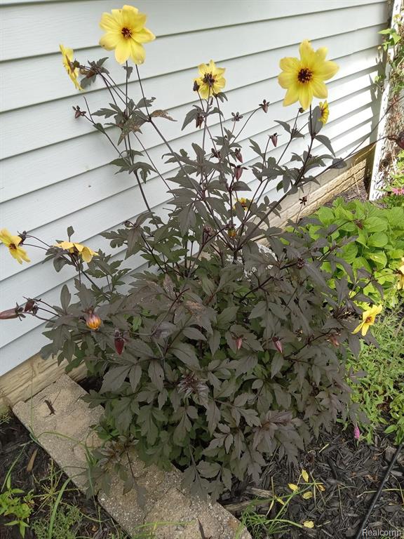 2401 E Farrand Road, Clio, MI 48420 — Photo 35