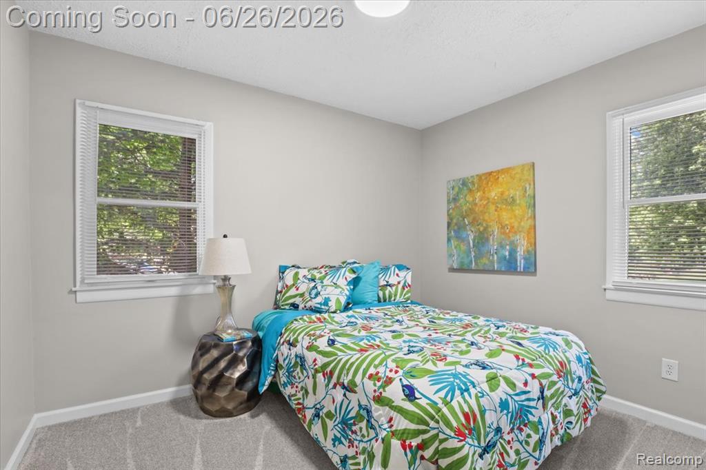 43600 Crowley Road, Belleville, MI 48111 — Photo 15