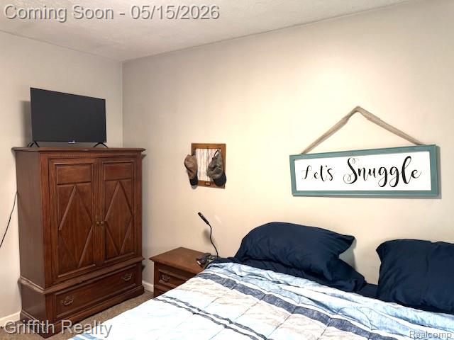 3148 Hogback Road, Fowlerville, MI 48836 — Photo 26