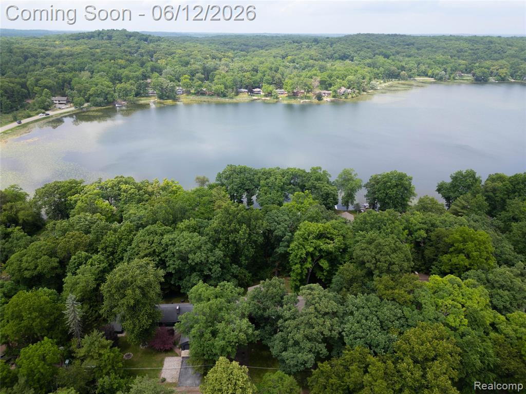 5831 Winans Drive, Brighton, MI 48116 — Photo 41
