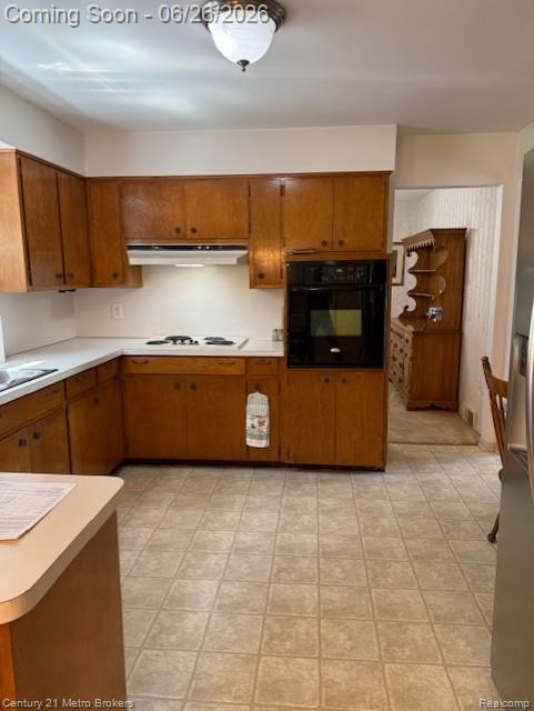 6096 Pebbleshire Drive, Grand Blanc, MI 48439 — Photo 12