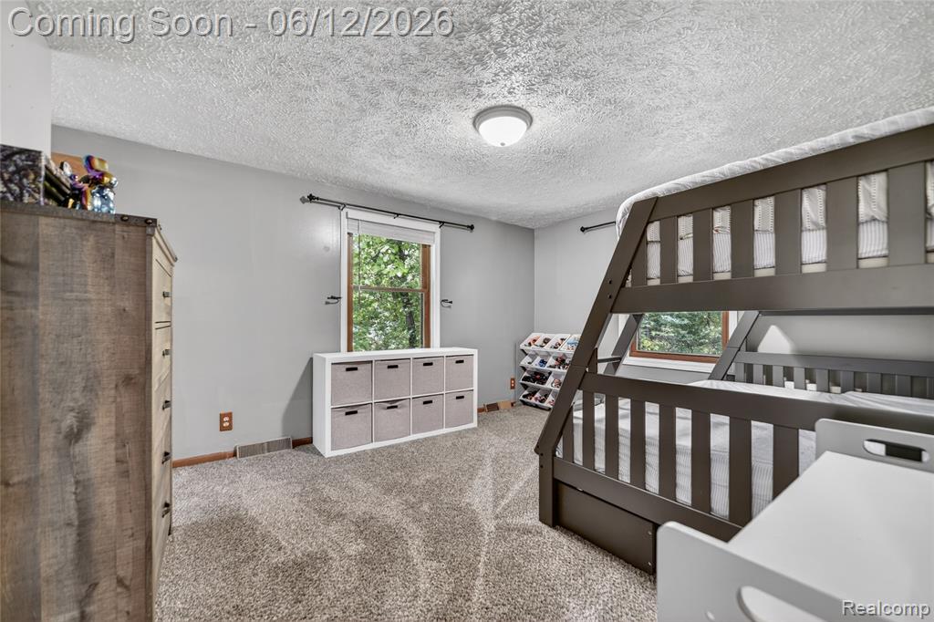 13635 Unadilla Road, Gregory, MI 48137 — Photo 22