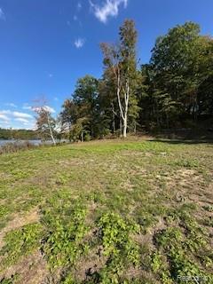 4720 Brunk Drive, Otter Lake, MI 48464 — Photo 16