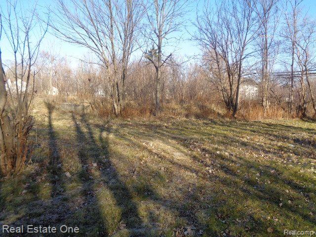 18088 PELKEY Street, Detroit, MI 48205 — Photo 4