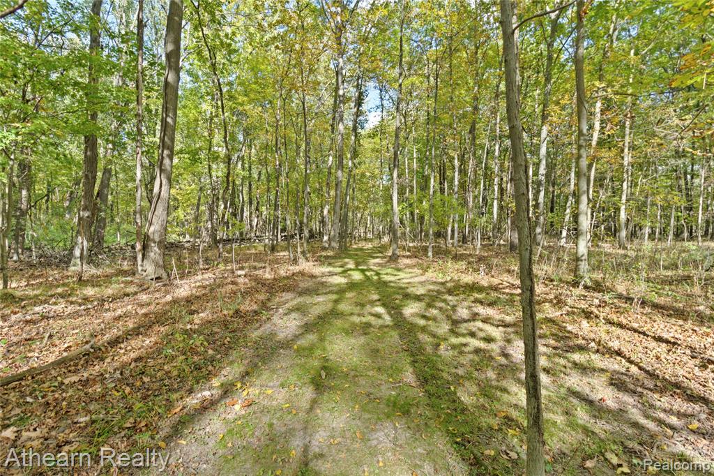 12471 Vernon Road, Bancroft, MI 48414 — Photo 27