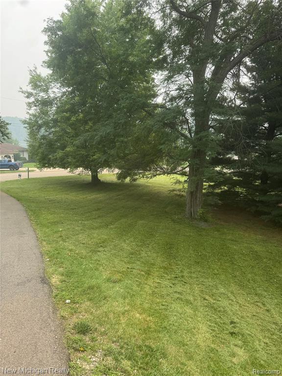 12335 Erika Street, Hartland, MI 48353 — Photo 4
