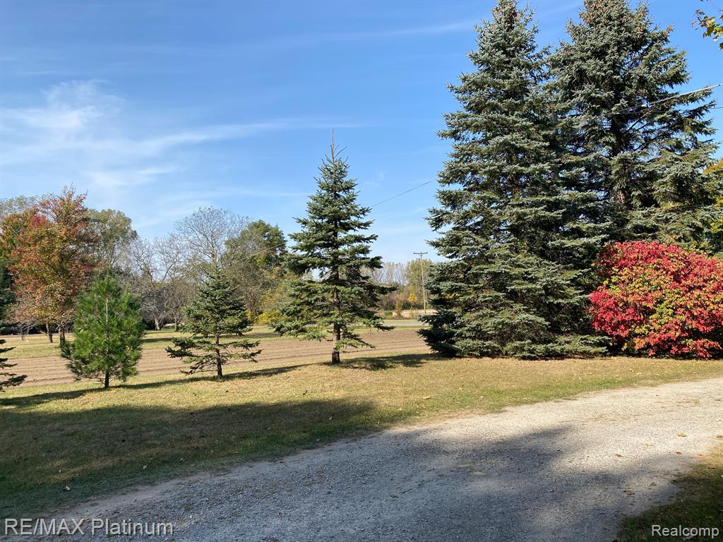 11781 FERDEN Road, Chesaning, MI 48616 — Photo 22