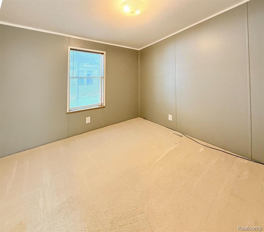 416 Raisin River Drive, Adrian, MI 49221 — Photo 18