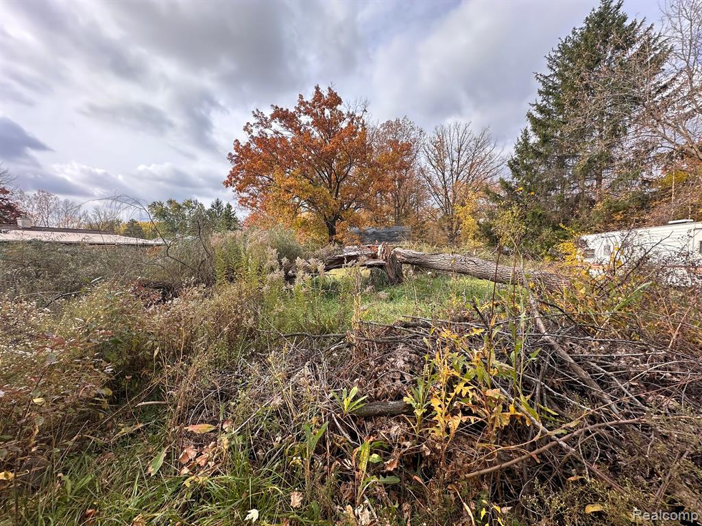 5324 SOUTHWAY Drive, Swartz Creek, MI 48473 — Photo 39