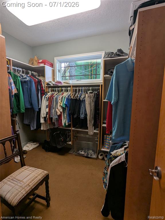 1580 Pine Springs Street NE, Kalkaska, MI 49646 — Photo 25