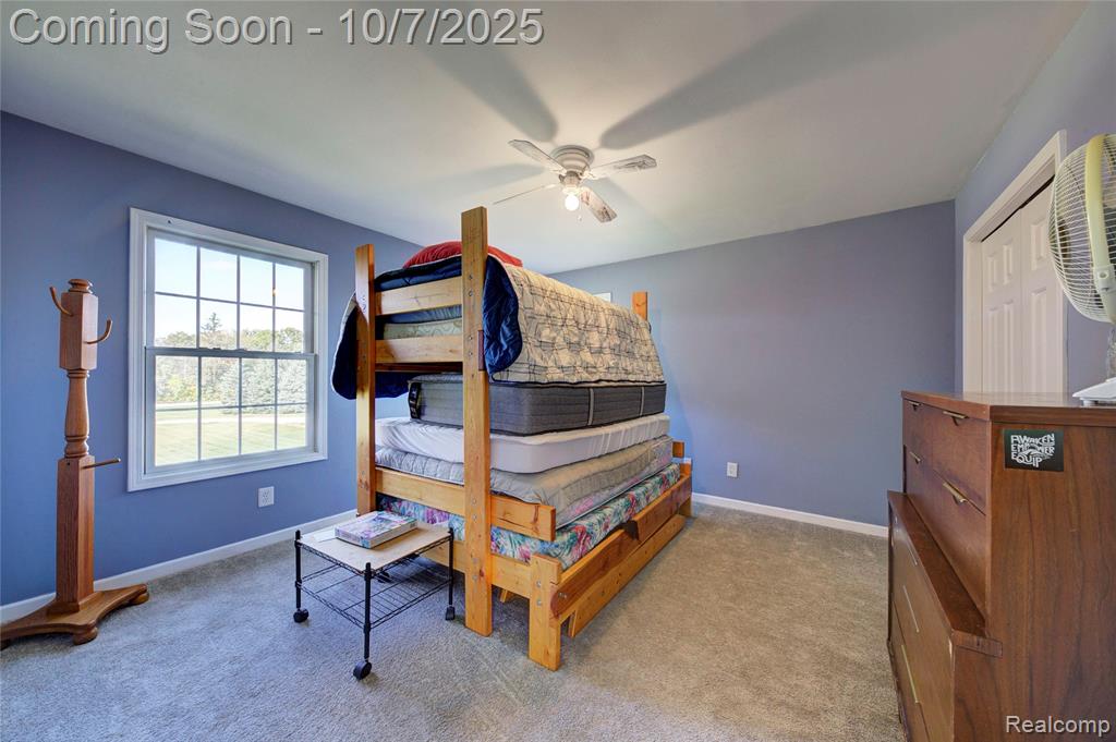 8660 Spicer Road, Brighton, MI 48116 — Photo 28