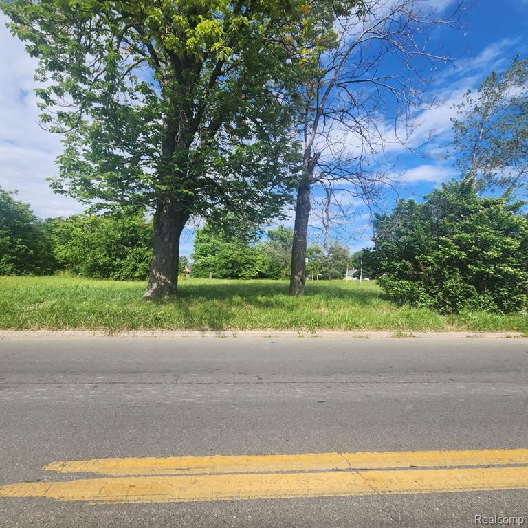 4400 JUNCTION Street, Detroit, MI 48210 — Photo 4