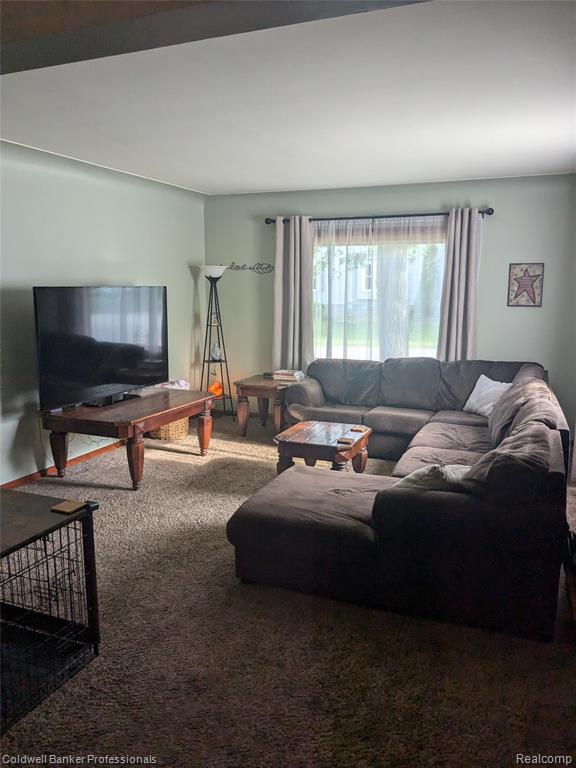 3237 Rogers Street, Marlette, MI 48453 — Photo 37