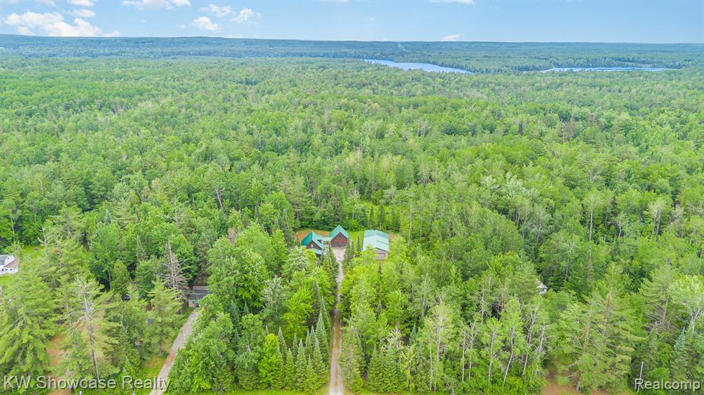 699 W Cherry Creek Road, Mio, MI 48647 — Photo 8
