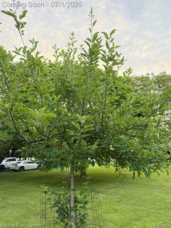1330 Brauer Road, Oxford, MI 48371 — Photo 14