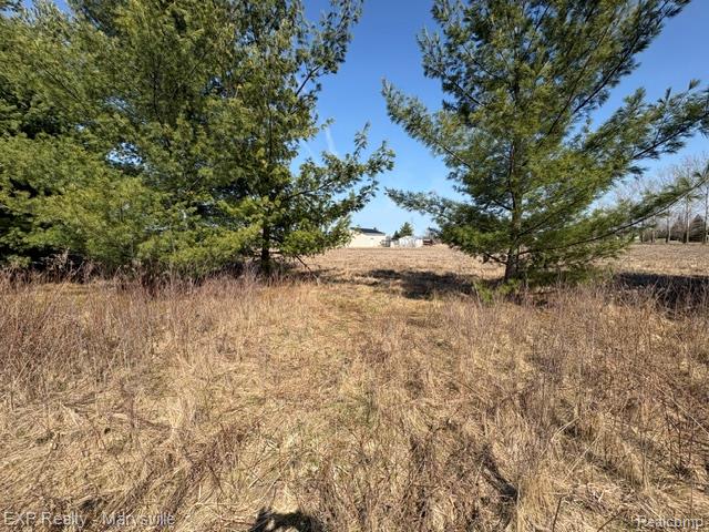 6919 Emmett Road, Brockway, MI 48097 — Photo 11
